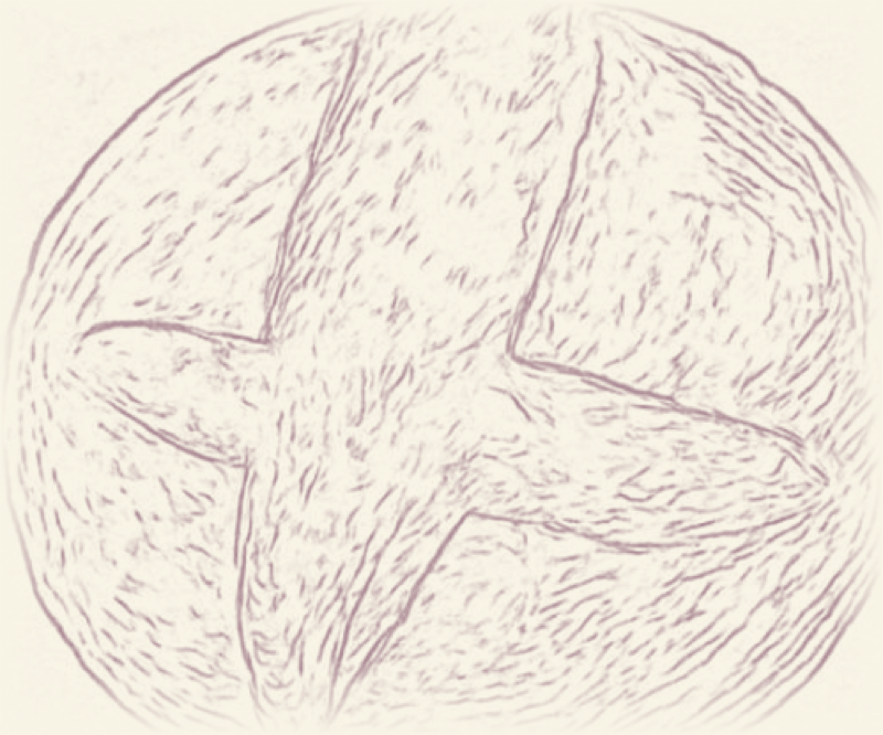 A hand-drawn sourdough boule, scored in a cross